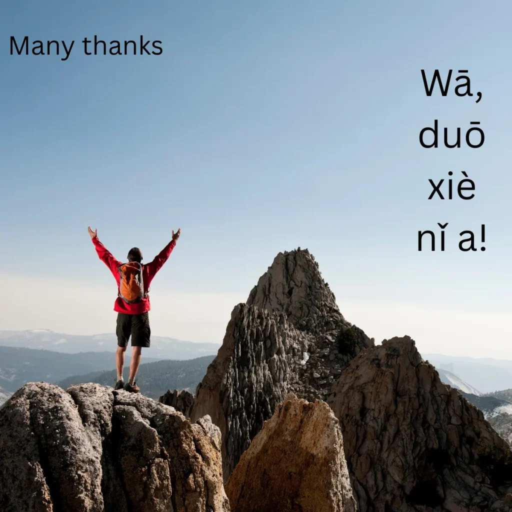 Many thanks