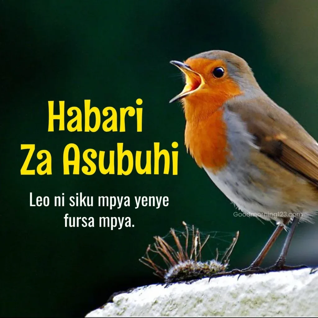 Habari za asubuhi