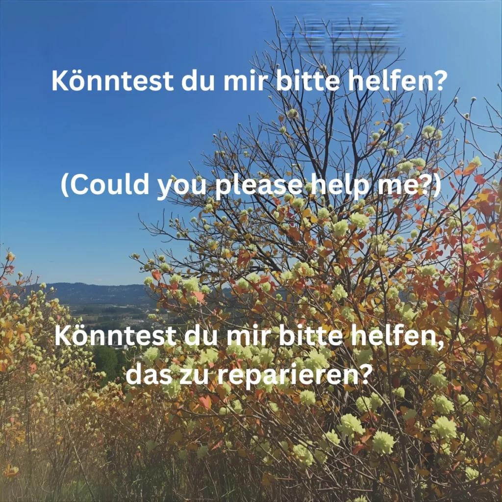 Könntest du mir bitte helfen