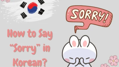 How to Say Sorry in Korean