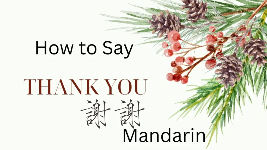 How to Say Thank You in Mandarin