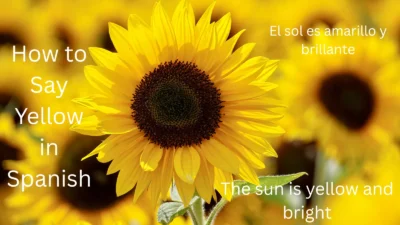 How to Say Yellow in Spanish