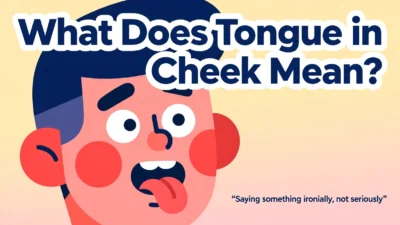What Does Tongue in Cheek Mean